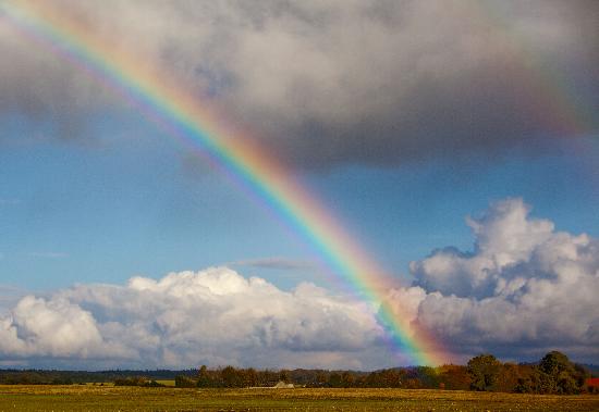 Regenbogen über Herbstlandschaft od Patrick Pleul