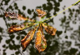 Herbstbeginn im Spreewald