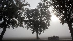 Morgennebel in Brandenburg