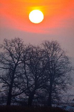 Sonnenaufgang an der Oder