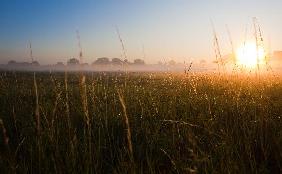 Sonnenaufgang in Brandenburg