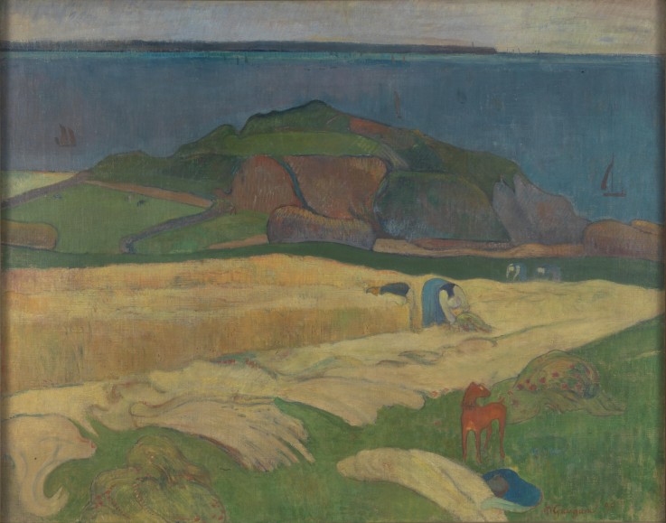 Harvest (Le Pouldu) od Paul Gauguin