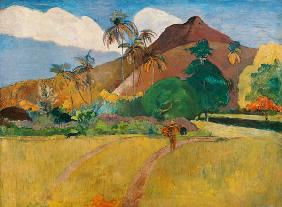 Tahitian landscape