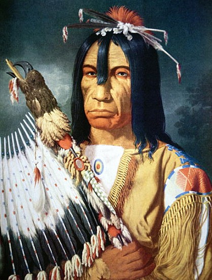 Native American Chief of the Cree people of Canada od Paul Kane