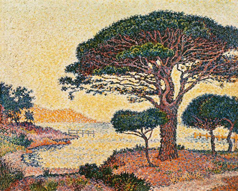 Le Pin Parasol aux Caroubiers od Paul Signac