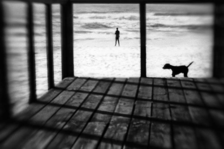 Left Behind od Paulo Abrantes