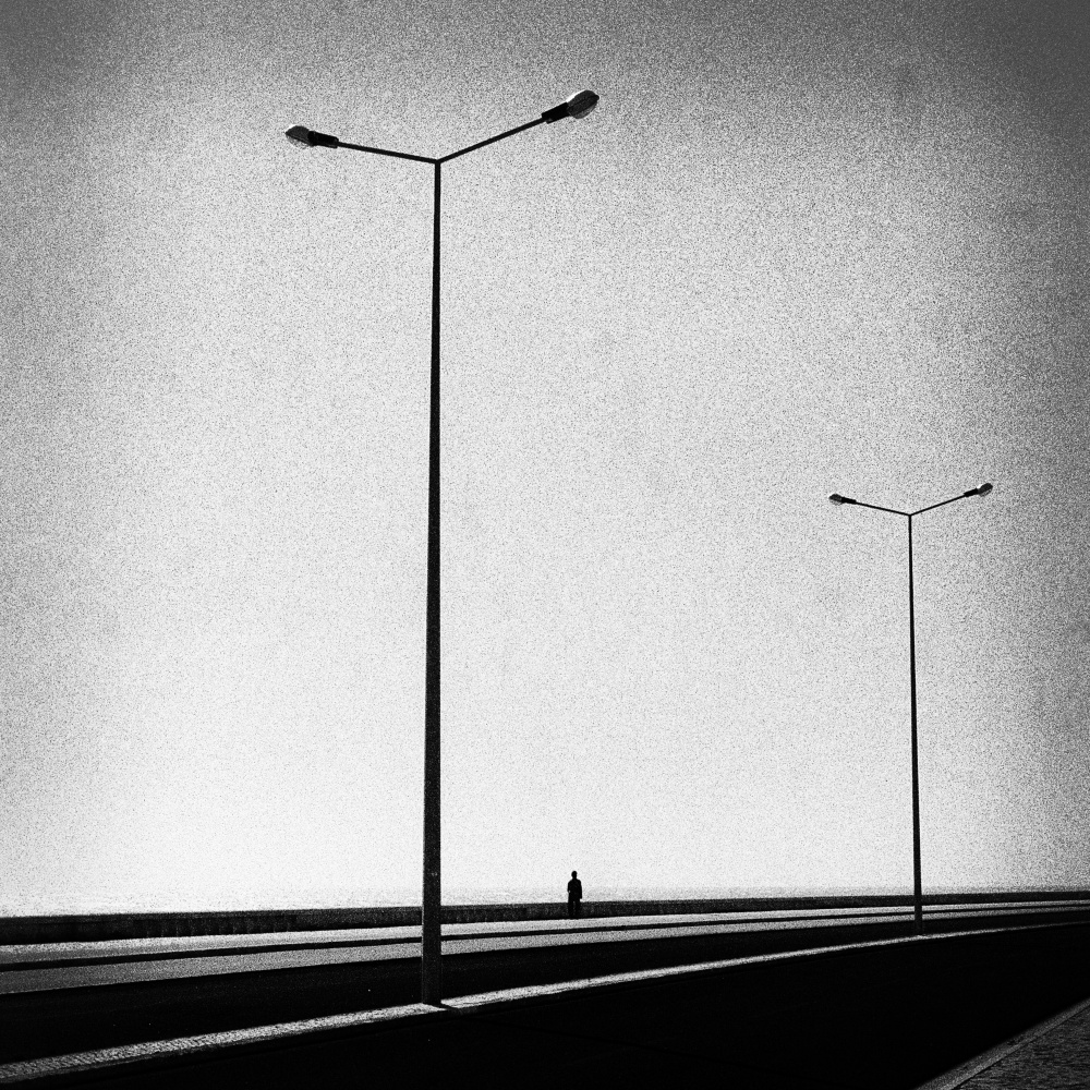 Lunatic Fringe od Paulo Abrantes