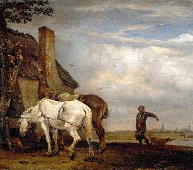 Two horses outside a farmhouse