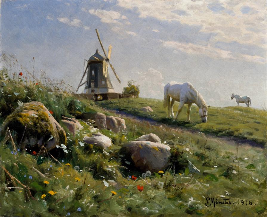 Horses Grazing on a Summer Meadow od Peder Moensted