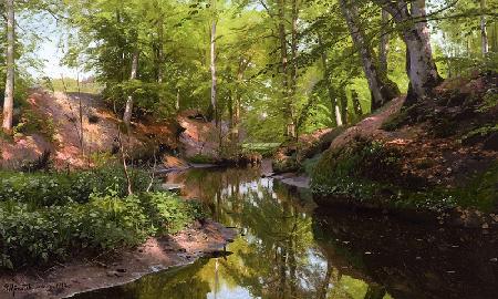 Sunny Day at the Forest Stream