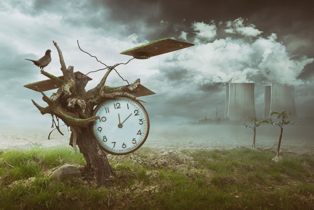 Time Flies od Peter Cakovsky