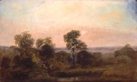 Wooded Landscape at Dusk