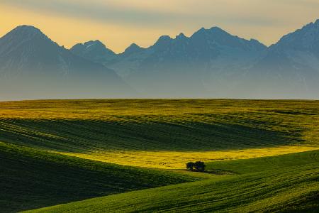 Spring under the Tatras