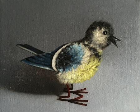 Blue Tit