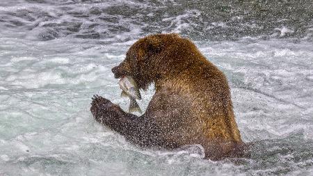 A Good day fishing