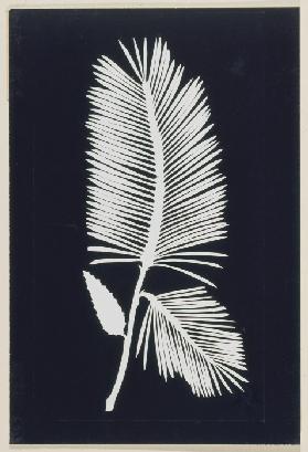 Palm lead