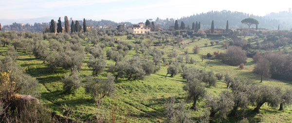 Paesaggio Collinare vicino a Firenze 2013 od Andrea Piccinini