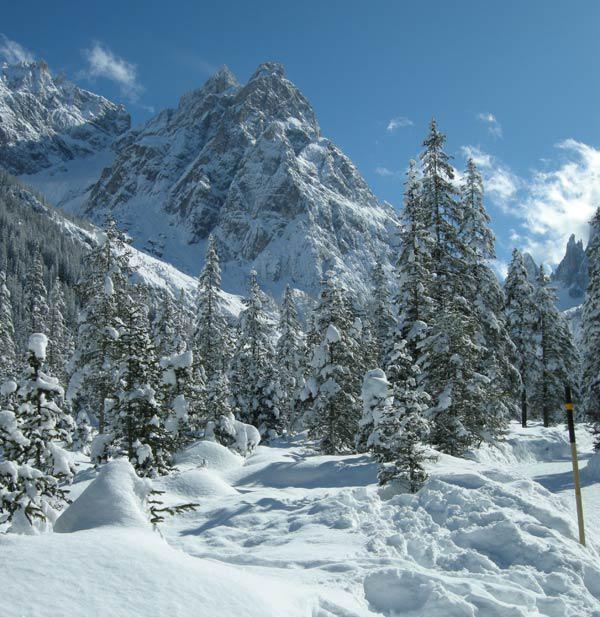 Paesaggio Innevato Montano in Val Fiscalina  2007.jpg