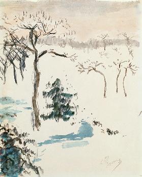 Winter Landscape