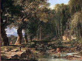 Classical landscape