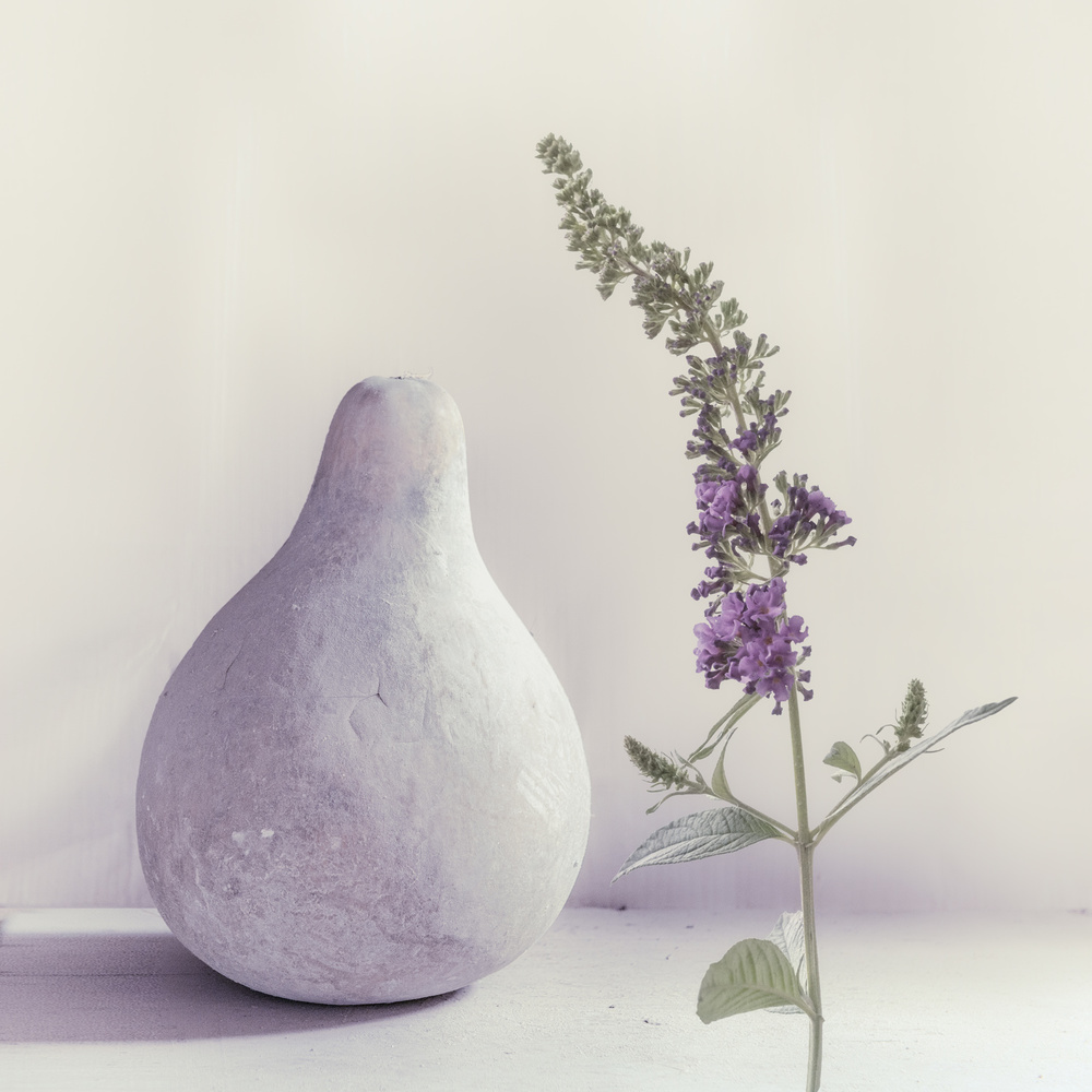 summer lilac od Piet Flour