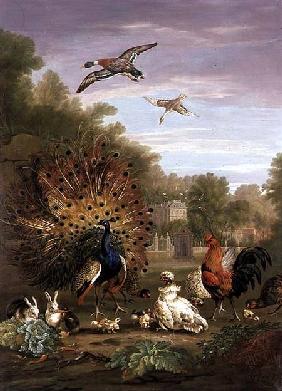 Peacock and Rabbits in a Landscape