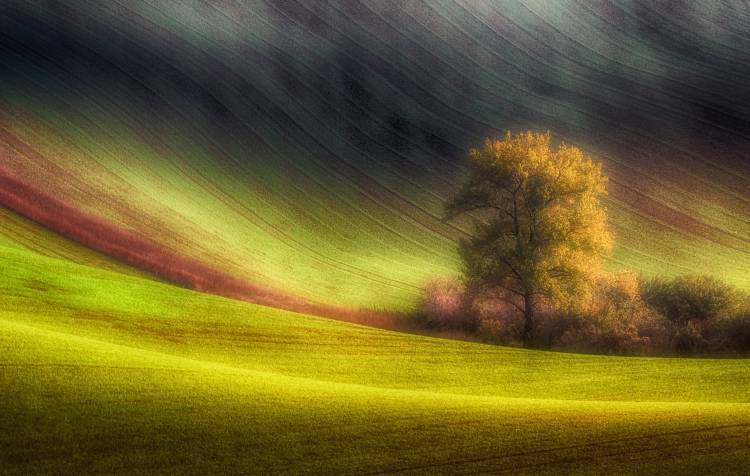 Moravian fields od Piotr Krol (Bax)