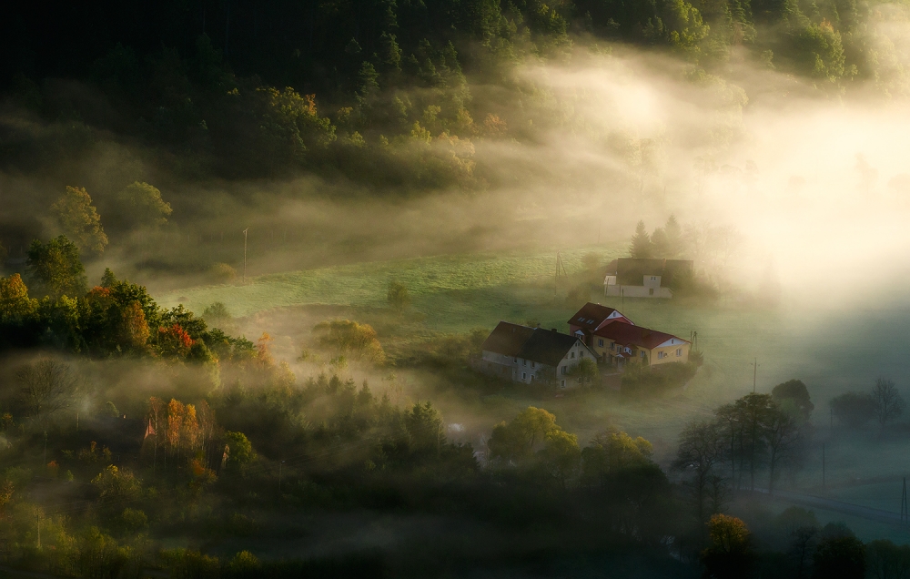 morning light od Piotr Krol (Bax)