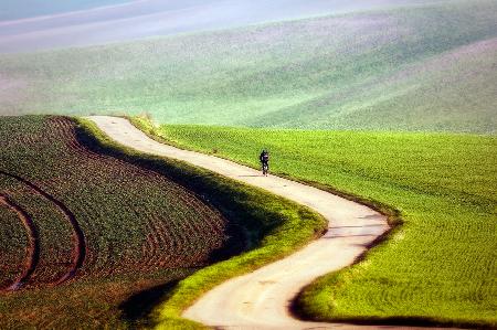 bicyclist