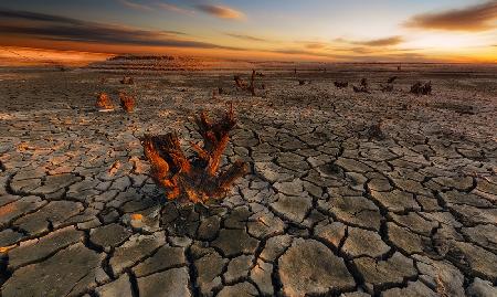 Dry lake