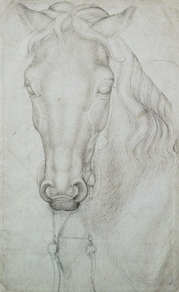 Head of a Horse (pen & ink on paper) od Pisanello