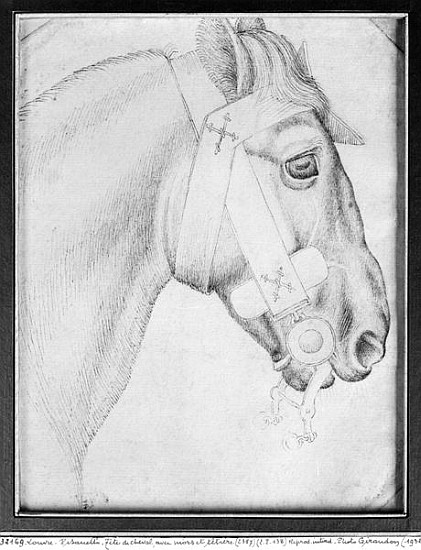 Head of a horse, from the The Vallardi Album od Pisanello