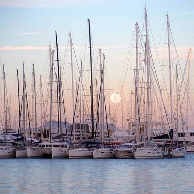 Palma bei Vollmond