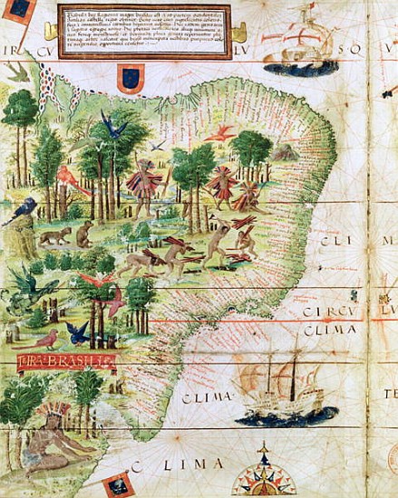 Brazil from the ''Miller Atlas'' Pedro Reinel, c.1519 (detail of 75615) od Portuguese School