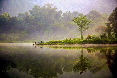 Dawn at the Lake (Landscape)