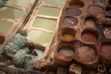 Tannery of Fes