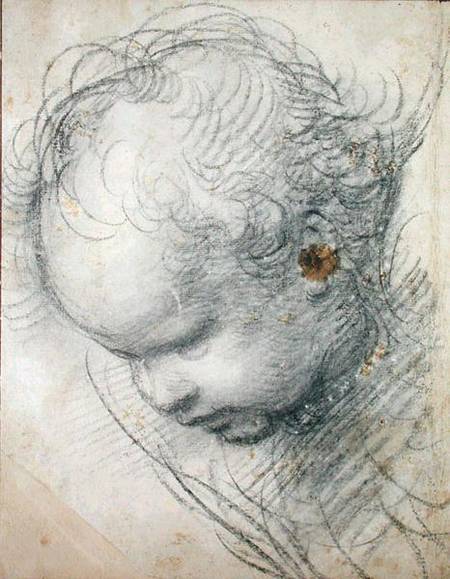 Head of a Cherub od (Raffael) Raffaello Santi