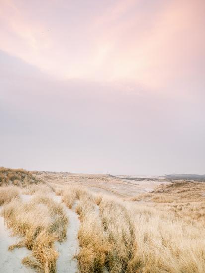 Ameland Dunes 1