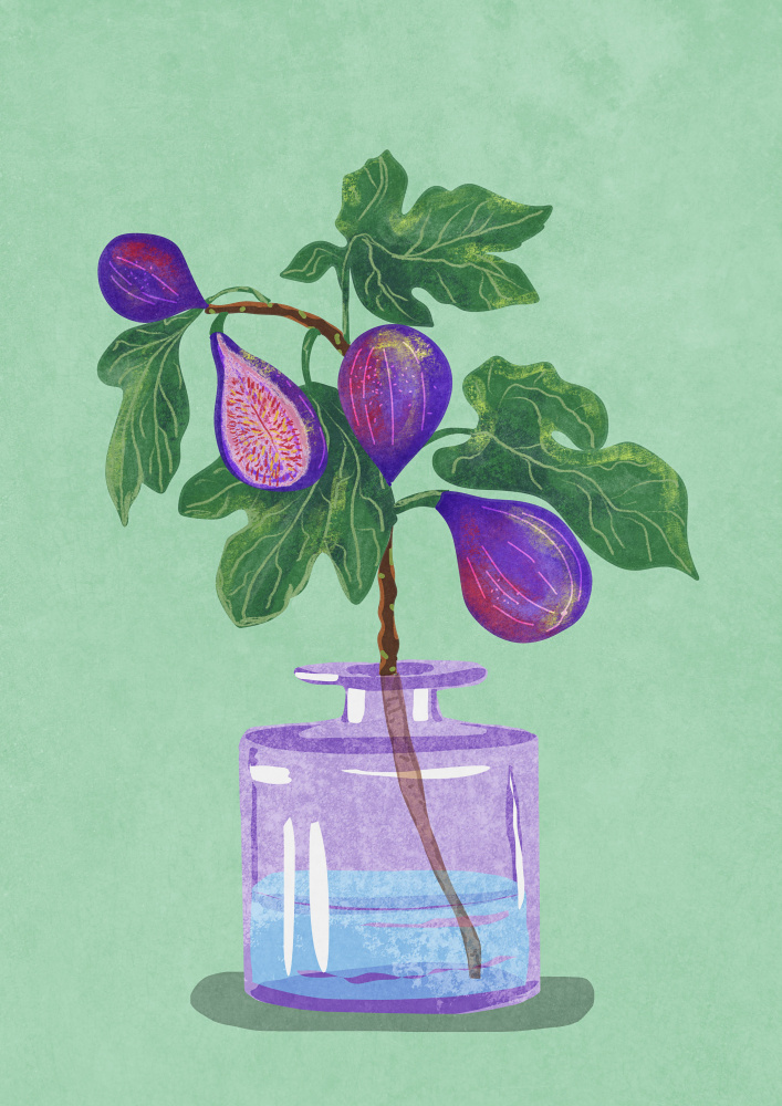 Figs Branch In Vase od Raissa Oltmanns