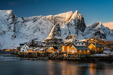 Sakrisøy