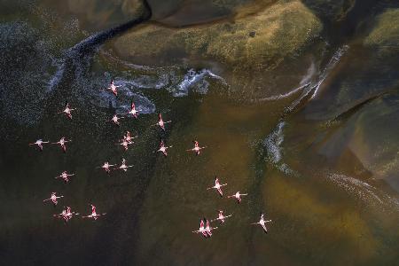 Flying Over Lake Magadi - 3