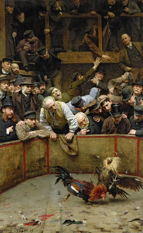 The Cockfight, 1889 (oil on canvas) od Rémy Cogghe