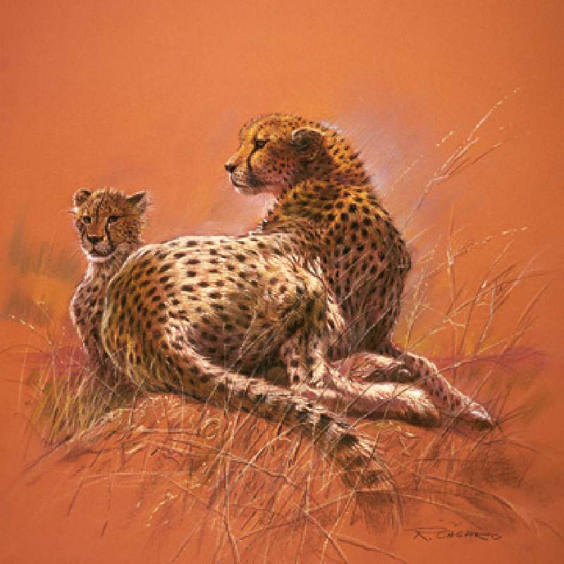 Obraz: Renato Casaro - Cheetah Mother