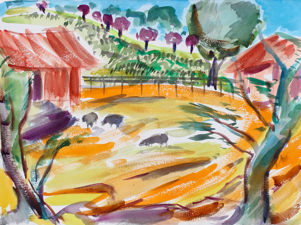 Barnyard with Sheep, Napa Valley od Richard Fox