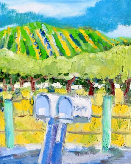 Mailboxes and Vineyard, Napa