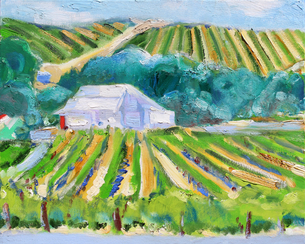 White Barn and Vineyard, Napa od Richard Fox