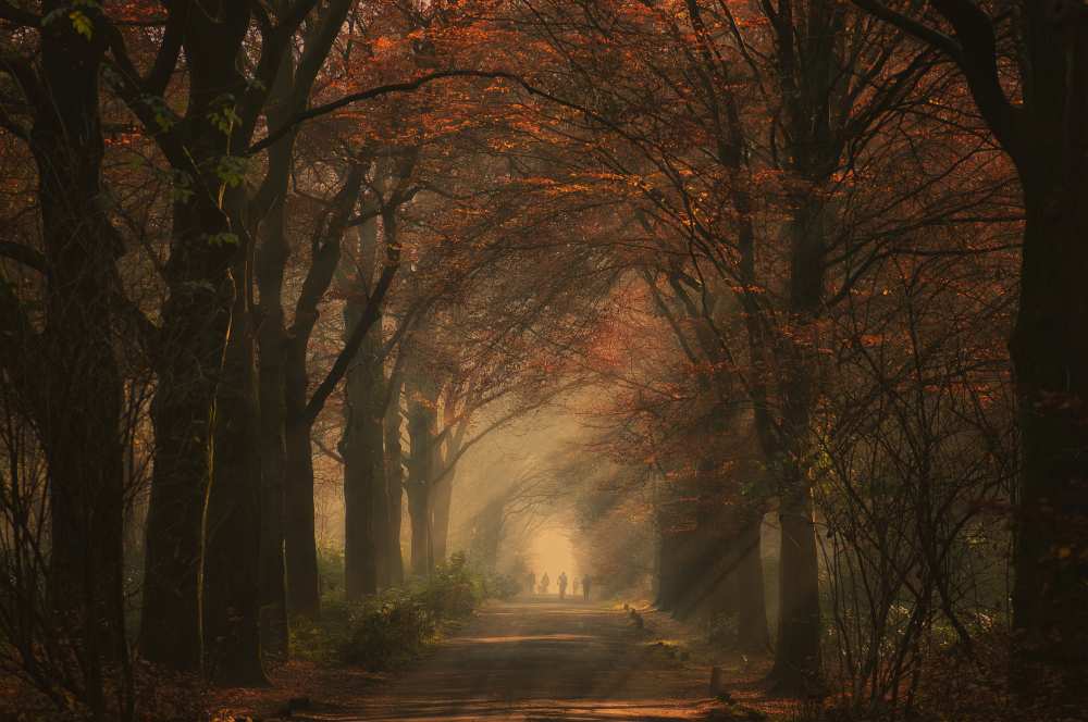 Autumn walk od Robert
