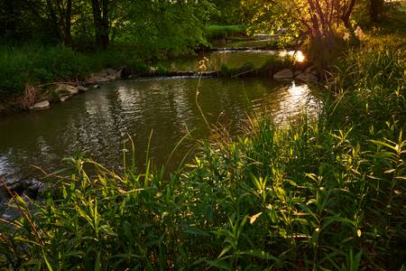 Romantische Flusslandschaft in Burgenland