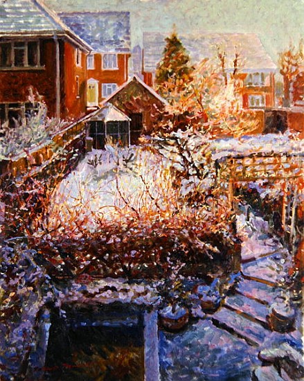 Sussex Garden in Winter  od Robert  Tyndall