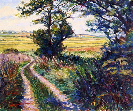 The Track to Boleyn''s Farm, Kent  od Robert  Tyndall